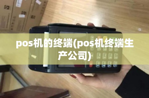 pos机的终端(pos机终端生产公司)