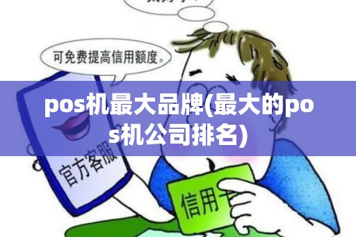 pos机最大品牌(最大的pos机公司排名)