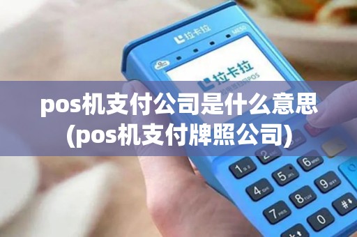 pos机支付公司是什么意思(pos机支付牌照公司)