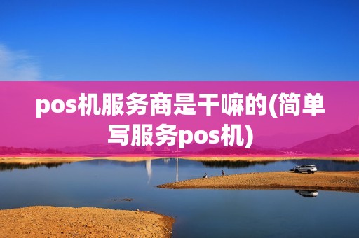 pos机服务商是干嘛的(简单写服务pos机)