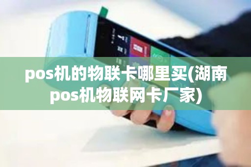 pos机的物联卡哪里买(湖南pos机物联网卡厂家)