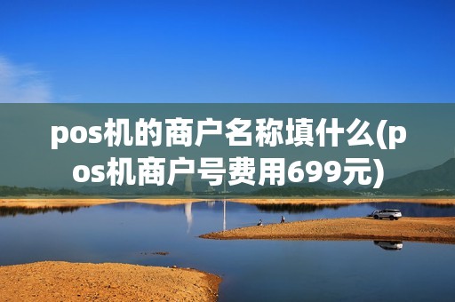pos机的商户名称填什么(pos机商户号费用699元)