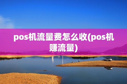 pos机流量费怎么收(pos机赚流量)