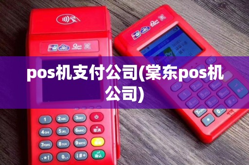 pos机支付公司(棠东pos机公司)
