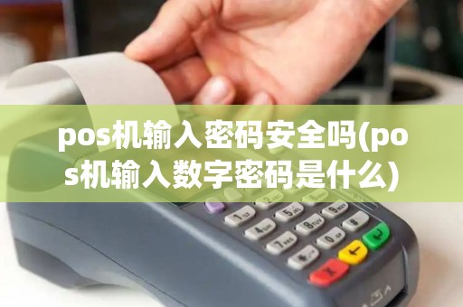 pos机输入密码安全吗(pos机输入数字密码是什么)