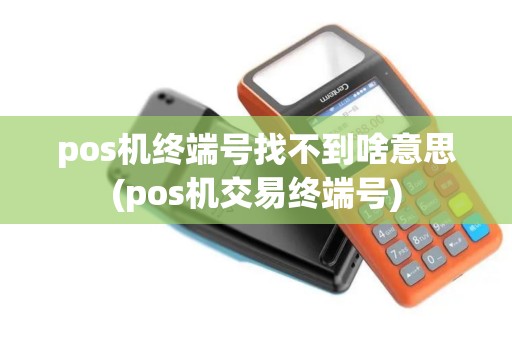 pos机终端号找不到啥意思(pos机交易终端号)