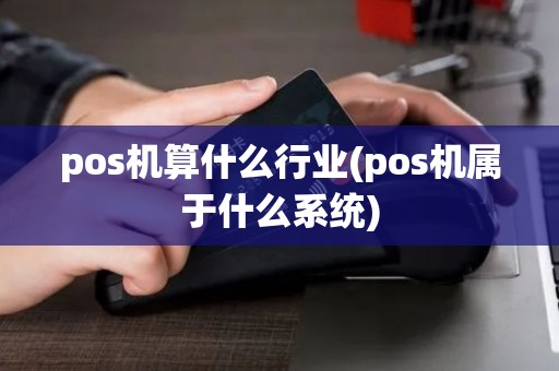pos机算什么行业(pos机属于什么系统)