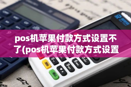 pos机苹果付款方式设置不了(pos机苹果付款方式设置)