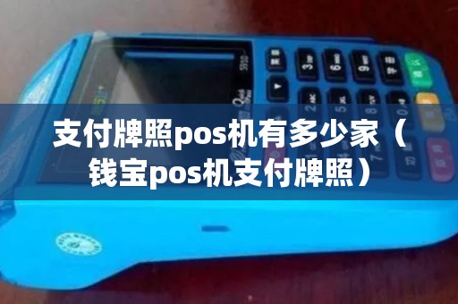 支付牌照pos机有多少家（钱宝pos机支付牌照）