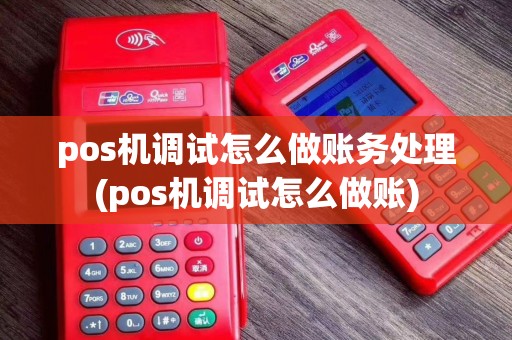 pos机调试怎么做账务处理(pos机调试怎么做账)