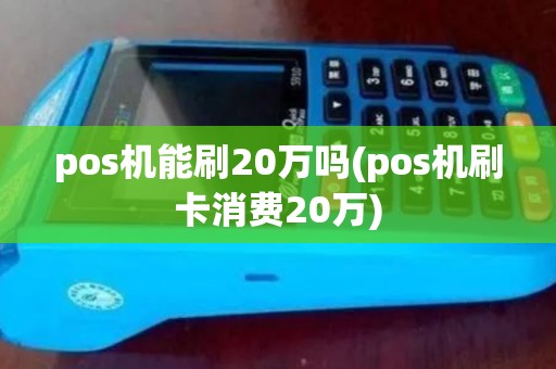 pos机能刷20万吗(pos机刷卡消费20万)