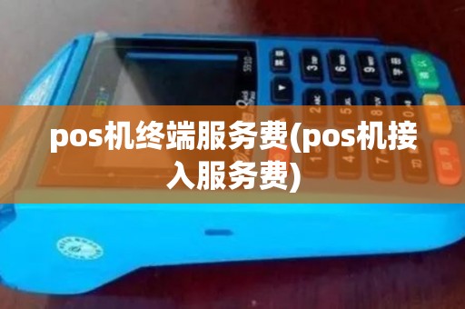 pos机终端服务费(pos机接入服务费)