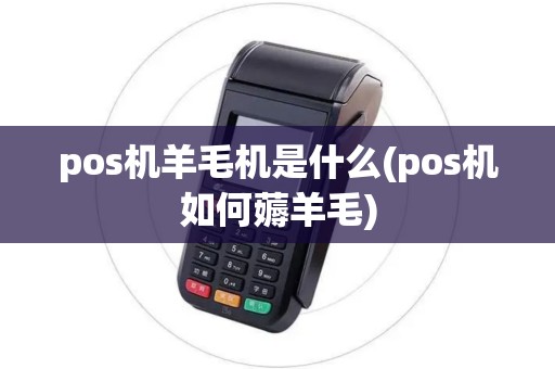 pos机羊毛机是什么(pos机如何薅羊毛)