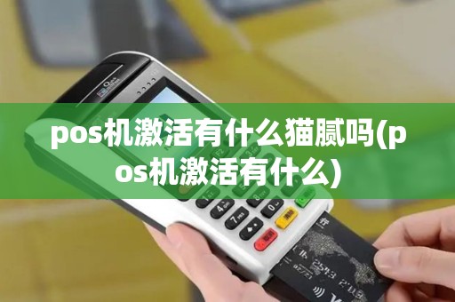 pos机激活有什么猫腻吗(pos机激活有什么)
