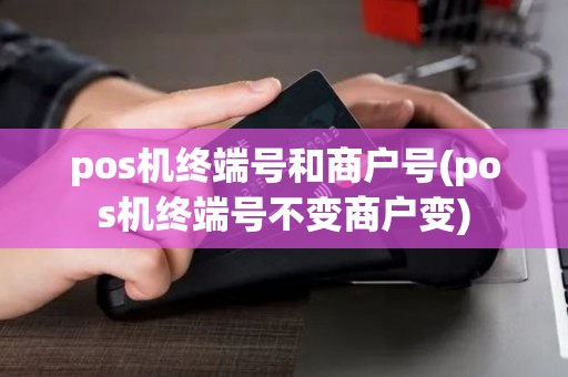 pos机终端号和商户号(pos机终端号不变商户变)