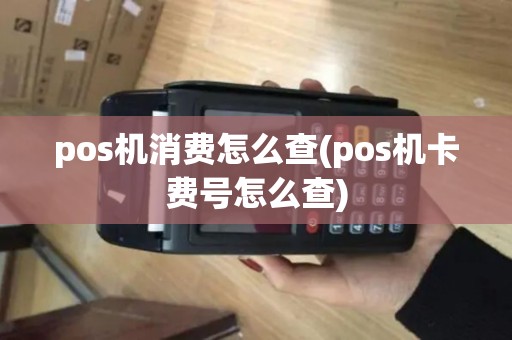 pos机消费怎么查(pos机卡费号怎么查)
