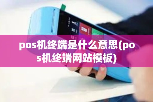 pos机终端是什么意思(pos机终端网站模板)