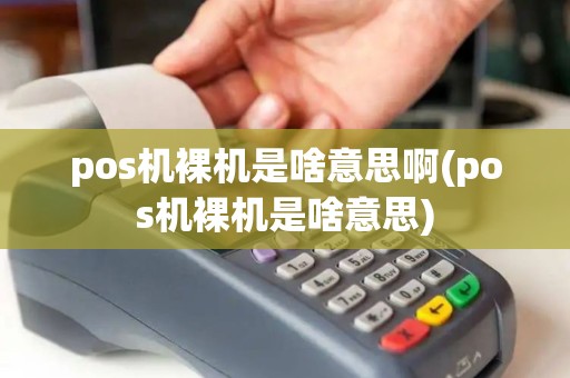 pos机裸机是啥意思啊(pos机裸机是啥意思)