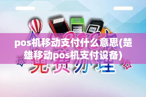 pos机移动支付什么意思(楚雄移动pos机支付设备)