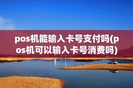 pos机能输入卡号支付吗(pos机可以输入卡号消费吗)