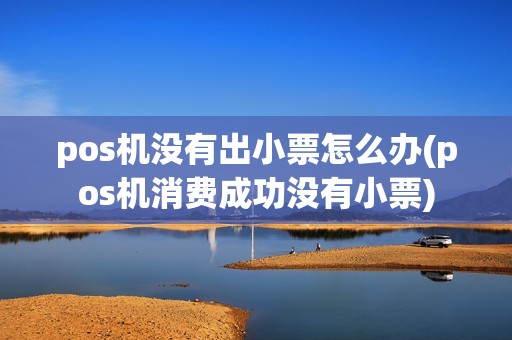 pos机没有出小票怎么办(pos机消费成功没有小票)