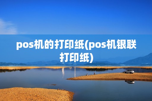 pos机的打印纸(pos机银联打印纸)