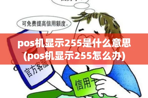 pos机显示255是什么意思(pos机显示255怎么办)
