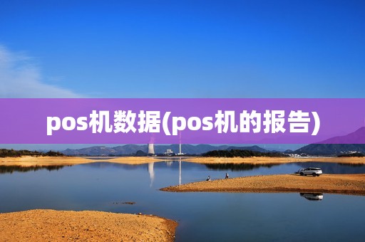 pos机数据(pos机的报告)
