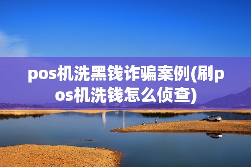 pos机洗黑钱诈骗案例(刷pos机洗钱怎么侦查)