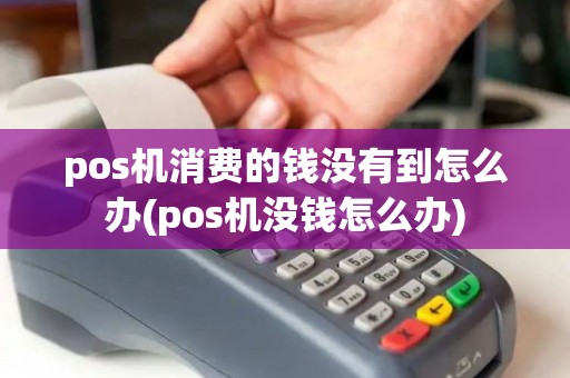 pos机消费的钱没有到怎么办(pos机没钱怎么办)