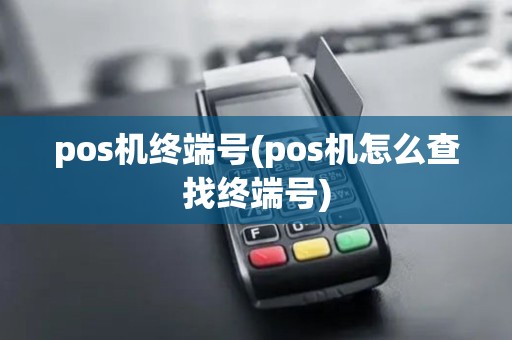 pos机终端号(pos机怎么查找终端号)