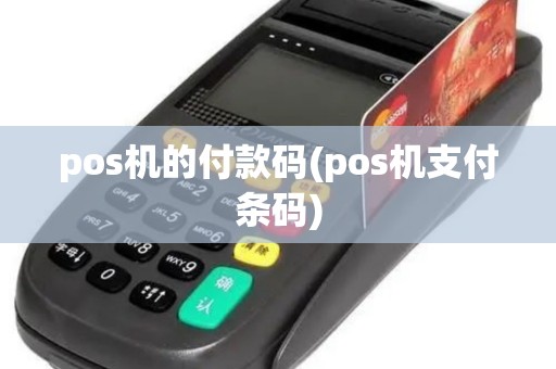 pos机的付款码(pos机支付条码)