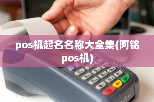 pos机起名名称大全集(阿铭pos机)