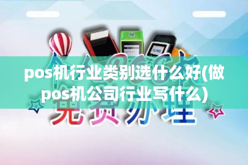 pos机行业类别选什么好(做pos机公司行业写什么)