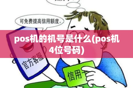 pos机的机号是什么(pos机4位号码)