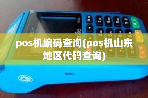 pos机编码查询(pos机山东地区代码查询)