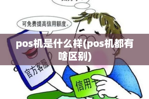 pos机是什么样(pos机都有啥区别)
