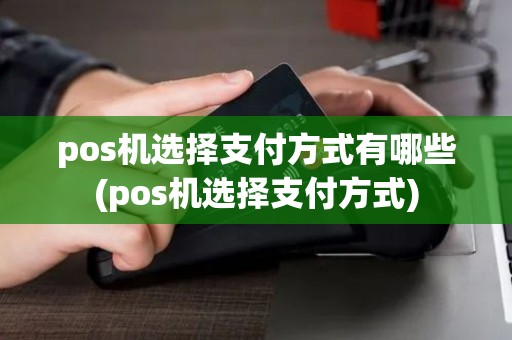 pos机选择支付方式有哪些(pos机选择支付方式)