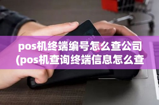 pos机终端编号怎么查公司(pos机查询终端信息怎么查)