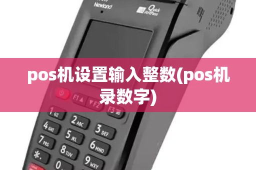 pos机设置输入整数(pos机录数字)