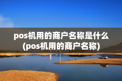 pos机用的商户名称是什么(pos机用的商户名称)