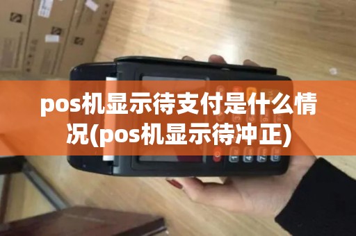 pos机显示待支付是什么情况(pos机显示待冲正)