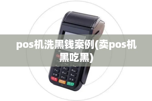 pos机洗黑钱案例(卖pos机黑吃黑)