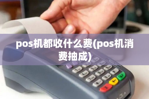 pos机都收什么费(pos机消费抽成)