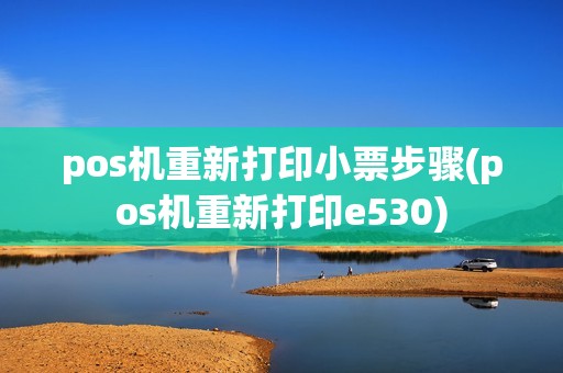 pos机重新打印小票步骤(pos机重新打印e530)