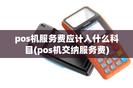 pos机服务费应计入什么科目(pos机交纳服务费)