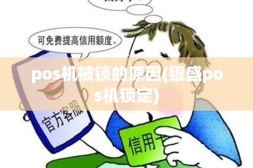 pos机被锁的原因(银盛pos机锁定)