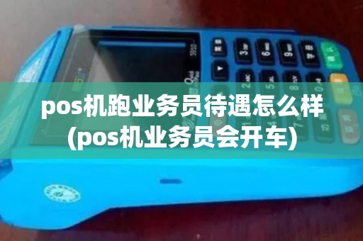 pos机跑业务员待遇怎么样(pos机业务员会开车)