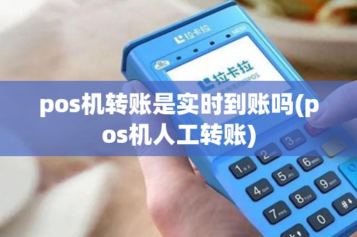 pos机转账是实时到账吗(pos机人工转账)