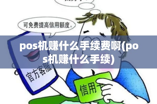 pos机赚什么手续费啊(pos机赚什么手续)